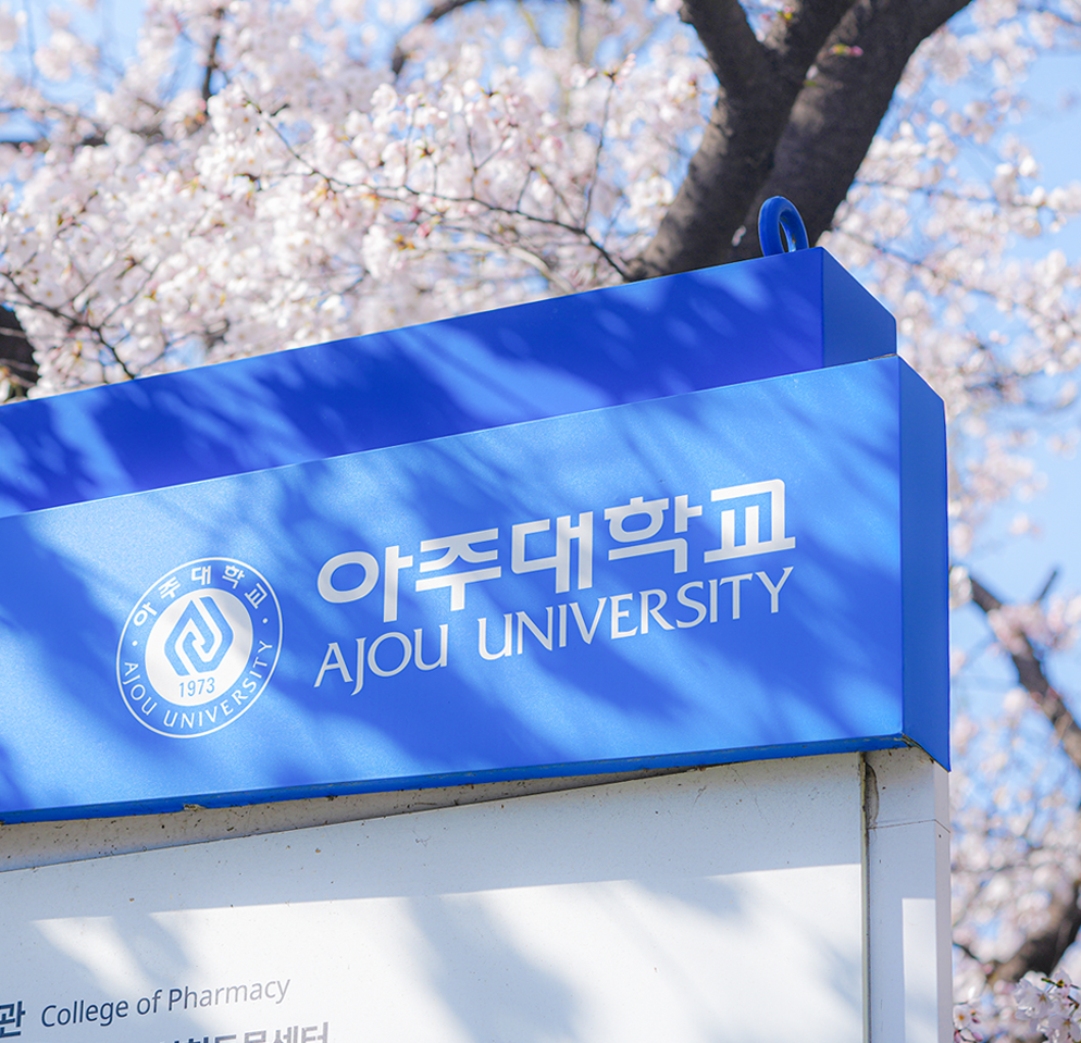 [Instagram] 캠퍼스 벚꽃 스케치